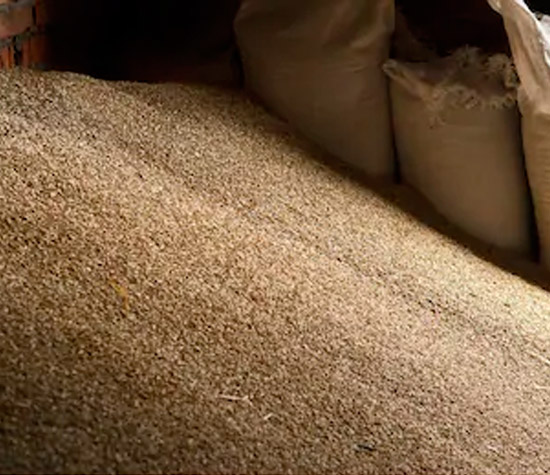 Fumigación de Granos almacenados y plantas de alimentos